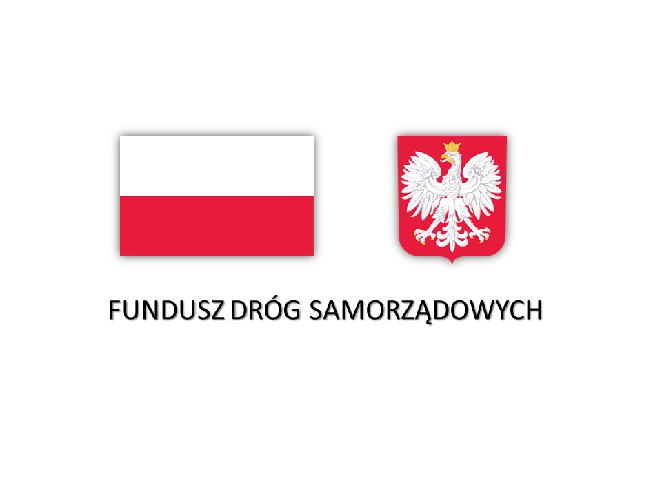 Logo FDS Poznań
